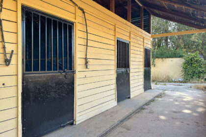 2c262fc61ee3341076d1fe064f27967f - 42