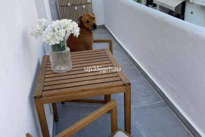 2cf4ba1c4322e63318d0ebb5d1f77eef - 5