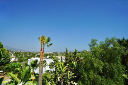 2e89d506dc23637cae41cafbf12fb6f9 - 25