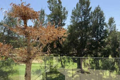 2f2e7fb72617be90ccc17d3af95d3853 - 23