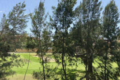 2f2e7fb72617be90ccc17d3af95d3853 - 44