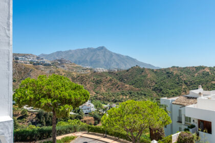 30ec00883aa8339e7d94ad5030056816 - 21