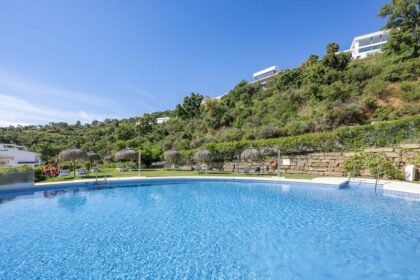 317dd76c579b53aebb7d8b5850d7ebca - 17