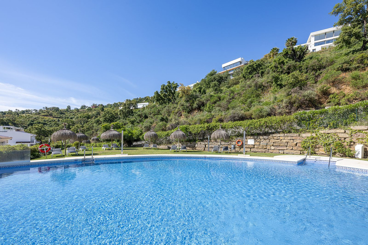 317dd76c579b53aebb7d8b5850d7ebca - 17