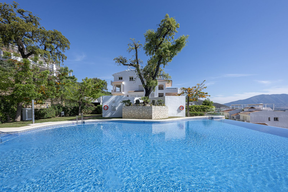 317dd76c579b53aebb7d8b5850d7ebca - 30