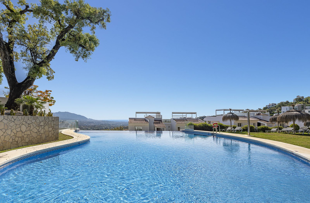 317dd76c579b53aebb7d8b5850d7ebca - 31