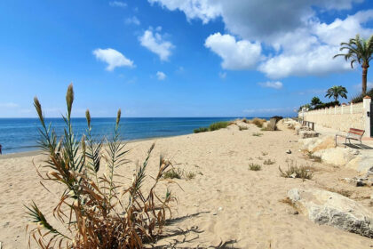 358d07c641edf85e5f8cac8b37e87230 - 23