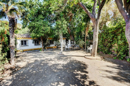 362e0575cf789eeec3a54719c26b688d - 46