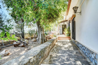 362e0575cf789eeec3a54719c26b688d - 54