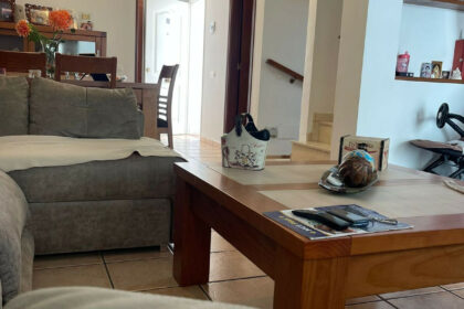 3828b0c636fa4d2c5e86c6e80d98de26 - 10