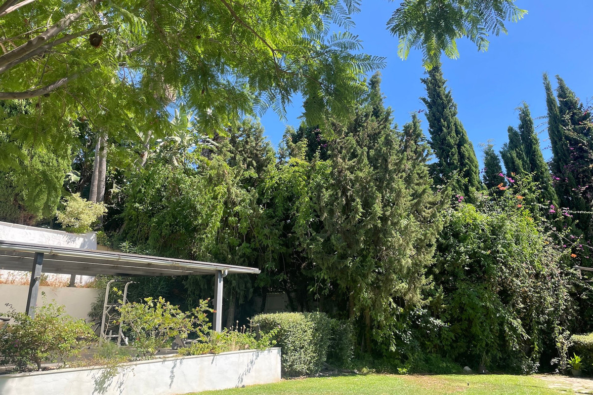 408588719fc1483de92de7017ba07756 - 17