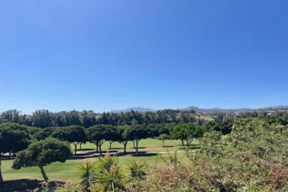 408588719fc1483de92de7017ba07756 - 22