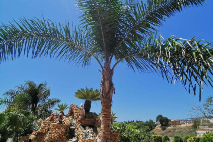 416a1e816f613df96ce7e41a2cc6ad8f - 22