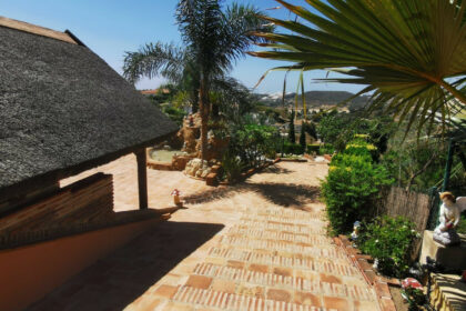 416a1e816f613df96ce7e41a2cc6ad8f - 24