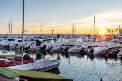 41f9e23ed3e62f61be1ded4ea8599517 - 29