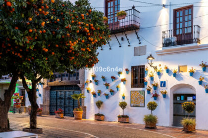 41f9e23ed3e62f61be1ded4ea8599517 - 35