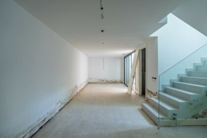 42a7d47af25dcd0c2aa22a0bc3f3a29f - 16