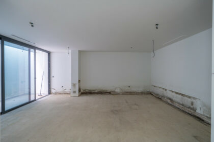 42a7d47af25dcd0c2aa22a0bc3f3a29f - 22