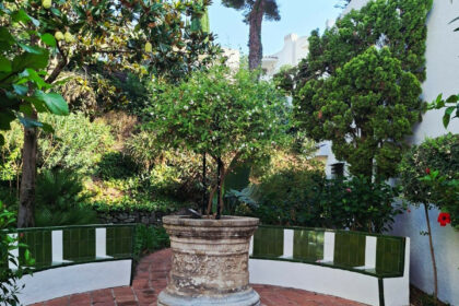 4358e44b1bd6fb92467837f57a121782 - 17