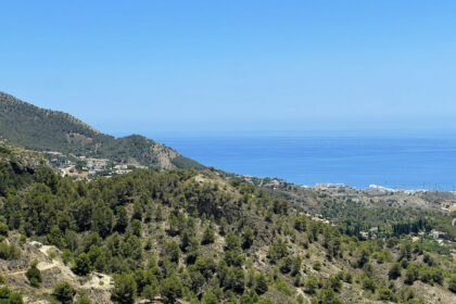 44d7c0a98ec3aefcbfe08ee0189b23f8 - 12