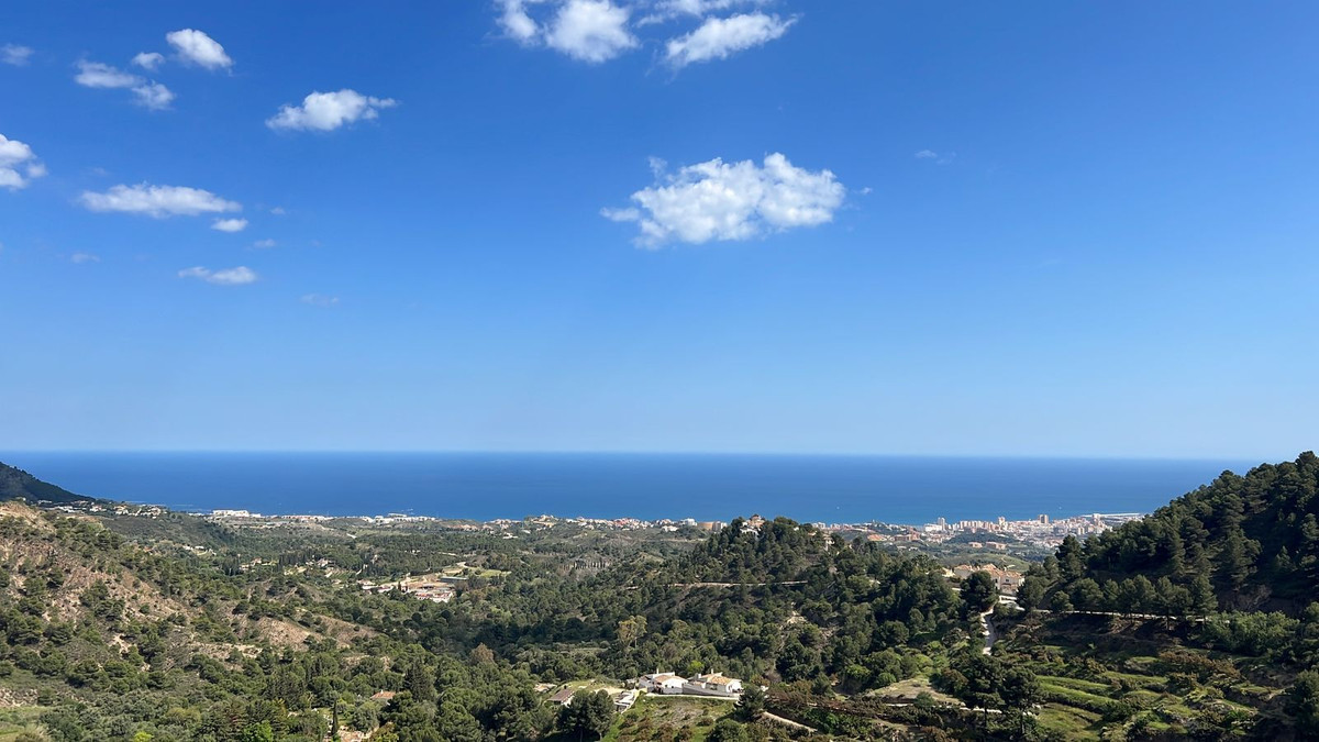 44d7c0a98ec3aefcbfe08ee0189b23f8 - 14