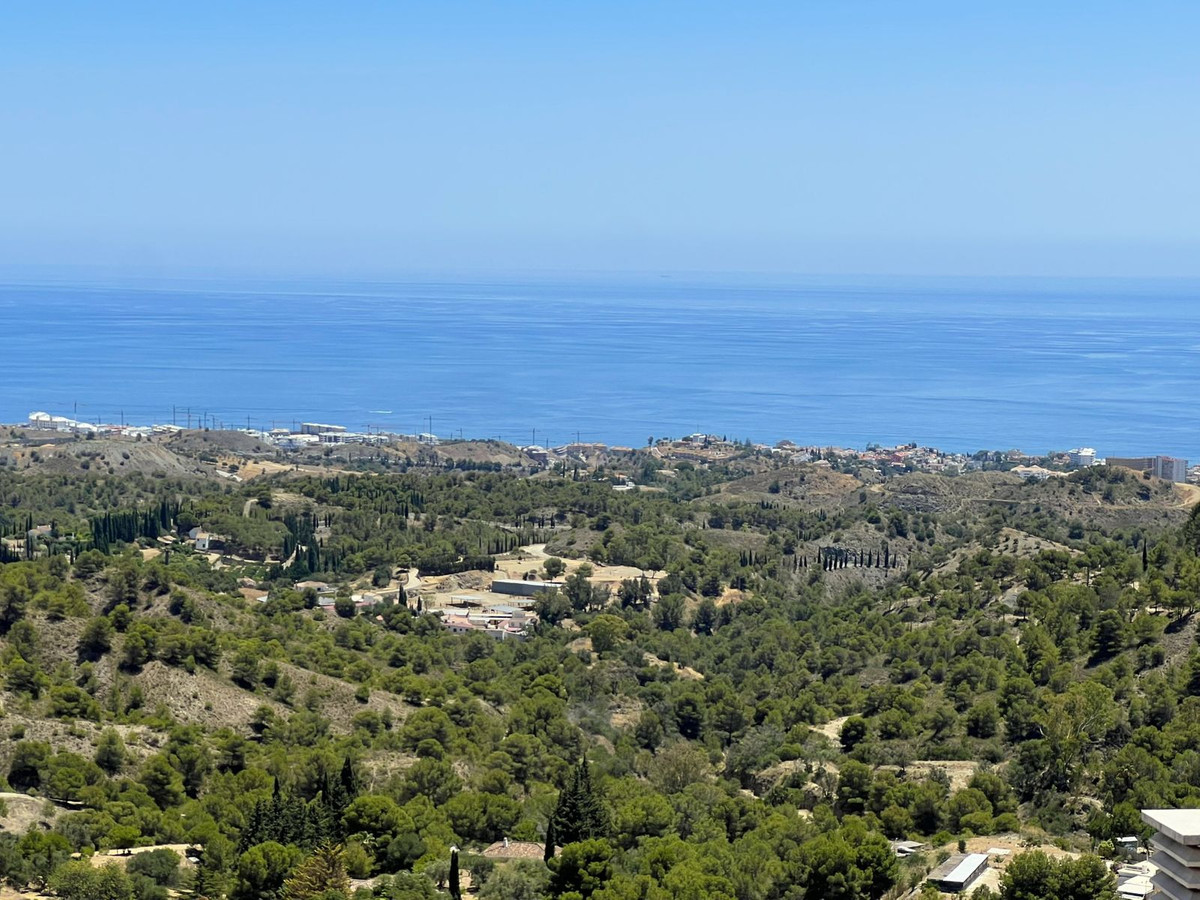 44d7c0a98ec3aefcbfe08ee0189b23f8 - 24