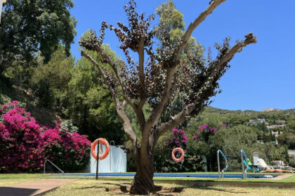 44d7c0a98ec3aefcbfe08ee0189b23f8 - 29