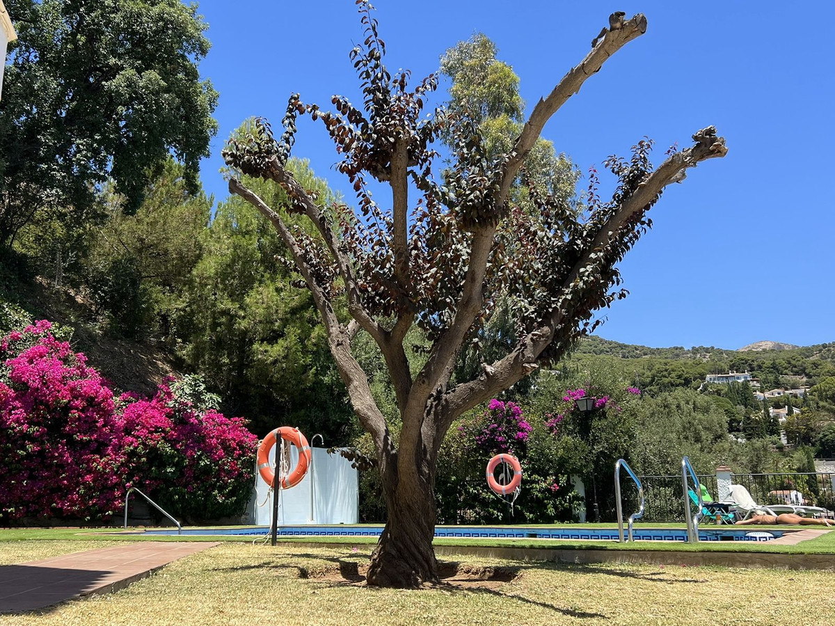 44d7c0a98ec3aefcbfe08ee0189b23f8 - 29