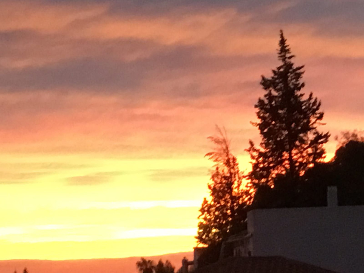 44d7c0a98ec3aefcbfe08ee0189b23f8 - 31