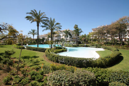 45325be373054b5d8722a5e56b11f25b - 20