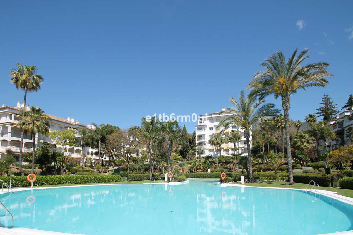 45325be373054b5d8722a5e56b11f25b - 21