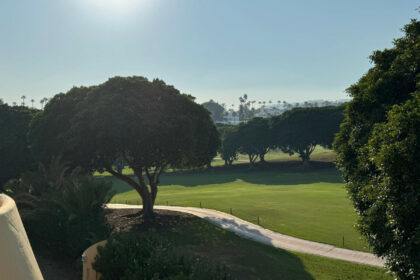 467fa322469a66c83eca170867489264 - 37