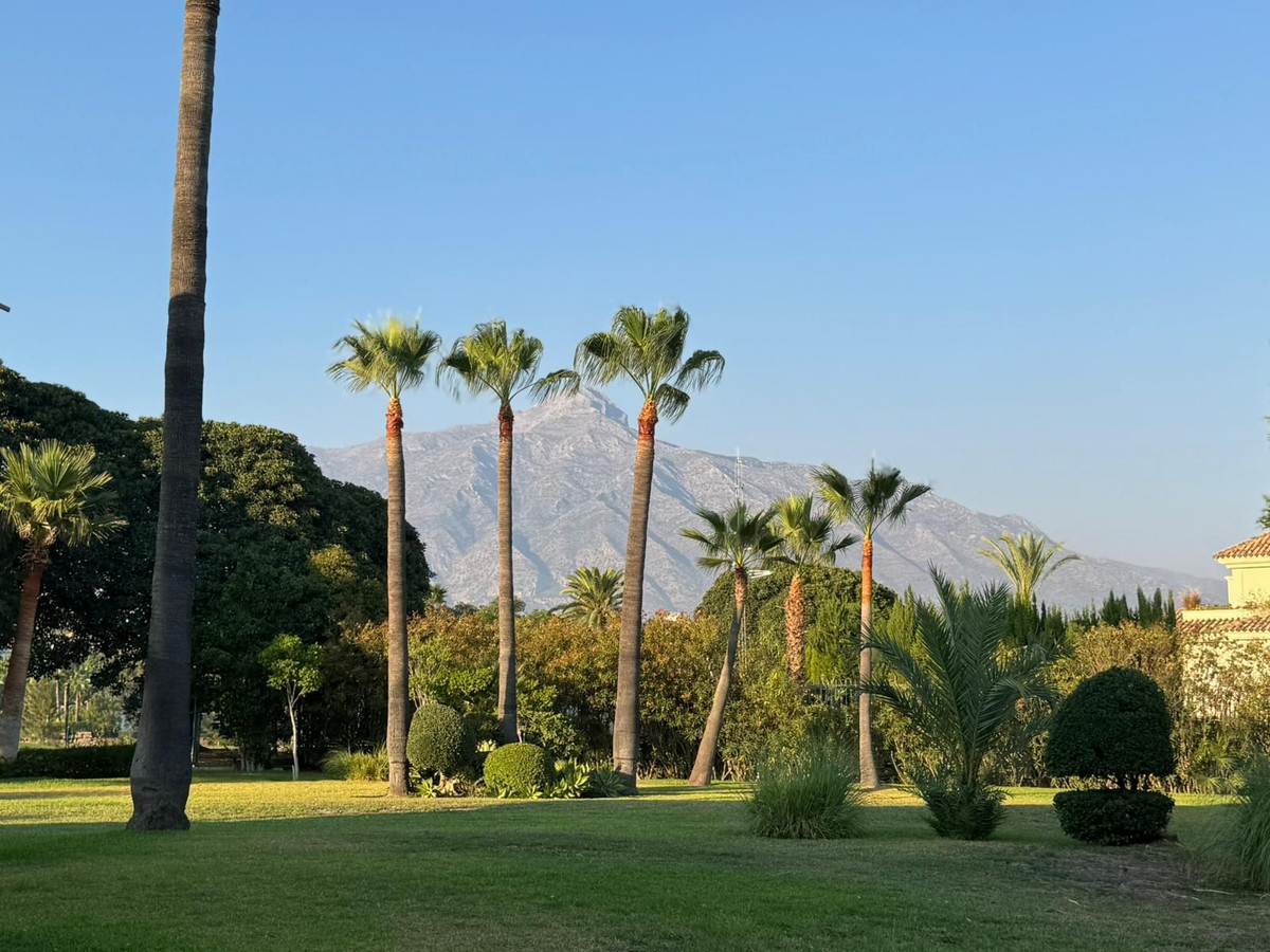 467fa322469a66c83eca170867489264 - 42