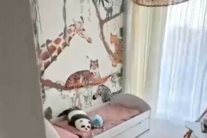 46e3c6c2dc95192a6d4aaeee3b82f9b8 - 23