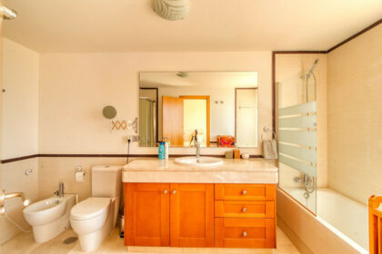 47e84de291926b8601eee4cda2cf3333 - 22