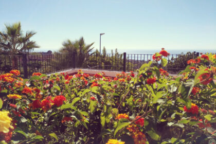 47e84de291926b8601eee4cda2cf3333 - 48