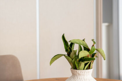 4a1c14ffd5efe5973d5a7c92e90fc86f - 27