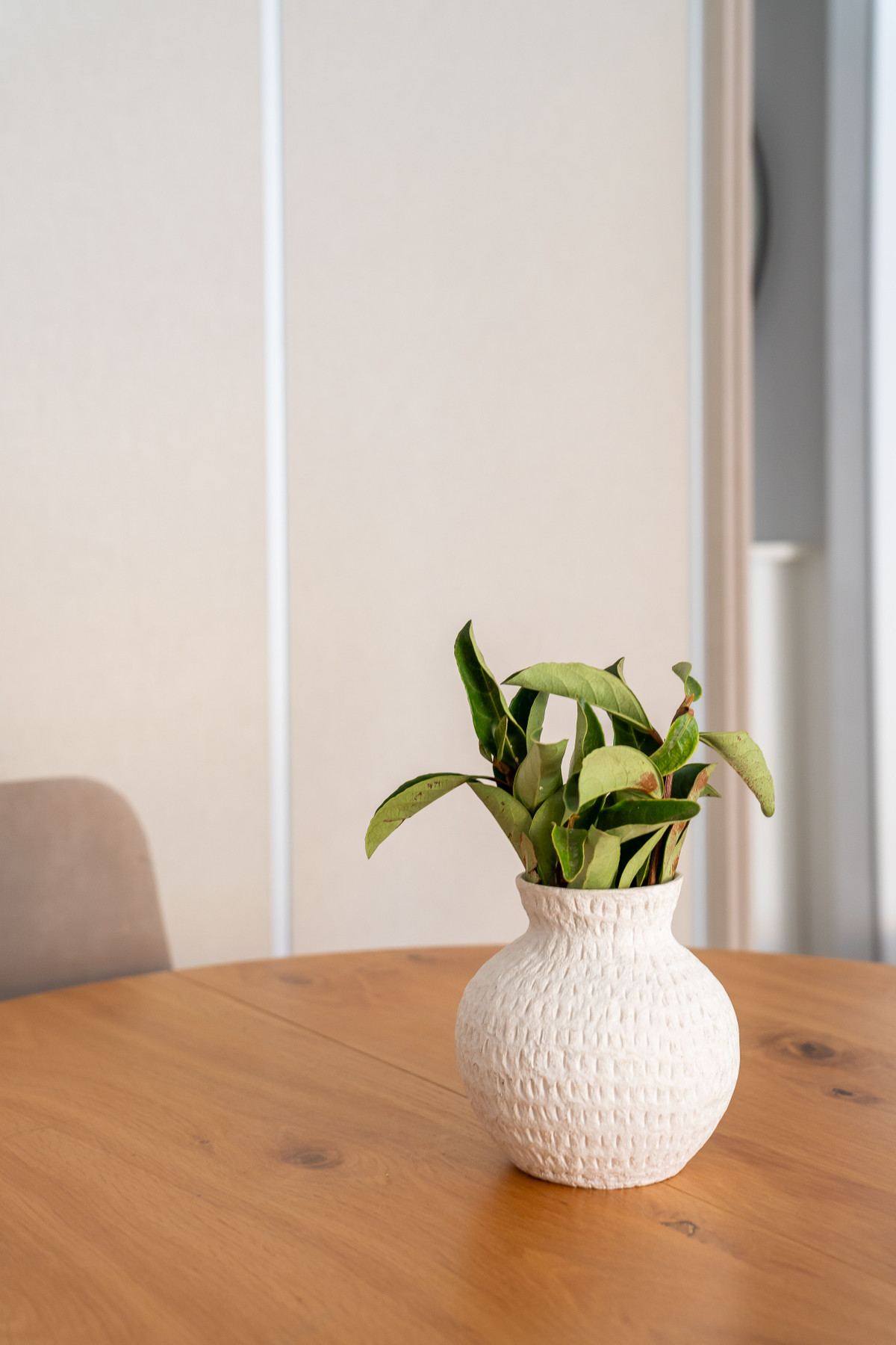 4a1c14ffd5efe5973d5a7c92e90fc86f - 27