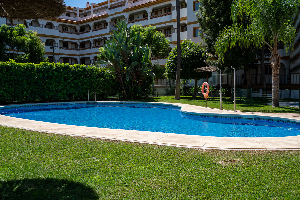 4a1c14ffd5efe5973d5a7c92e90fc86f - 31