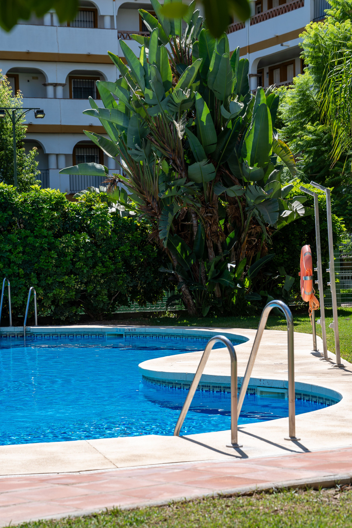 4a1c14ffd5efe5973d5a7c92e90fc86f - 33