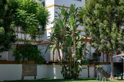 4a1c14ffd5efe5973d5a7c92e90fc86f - 35