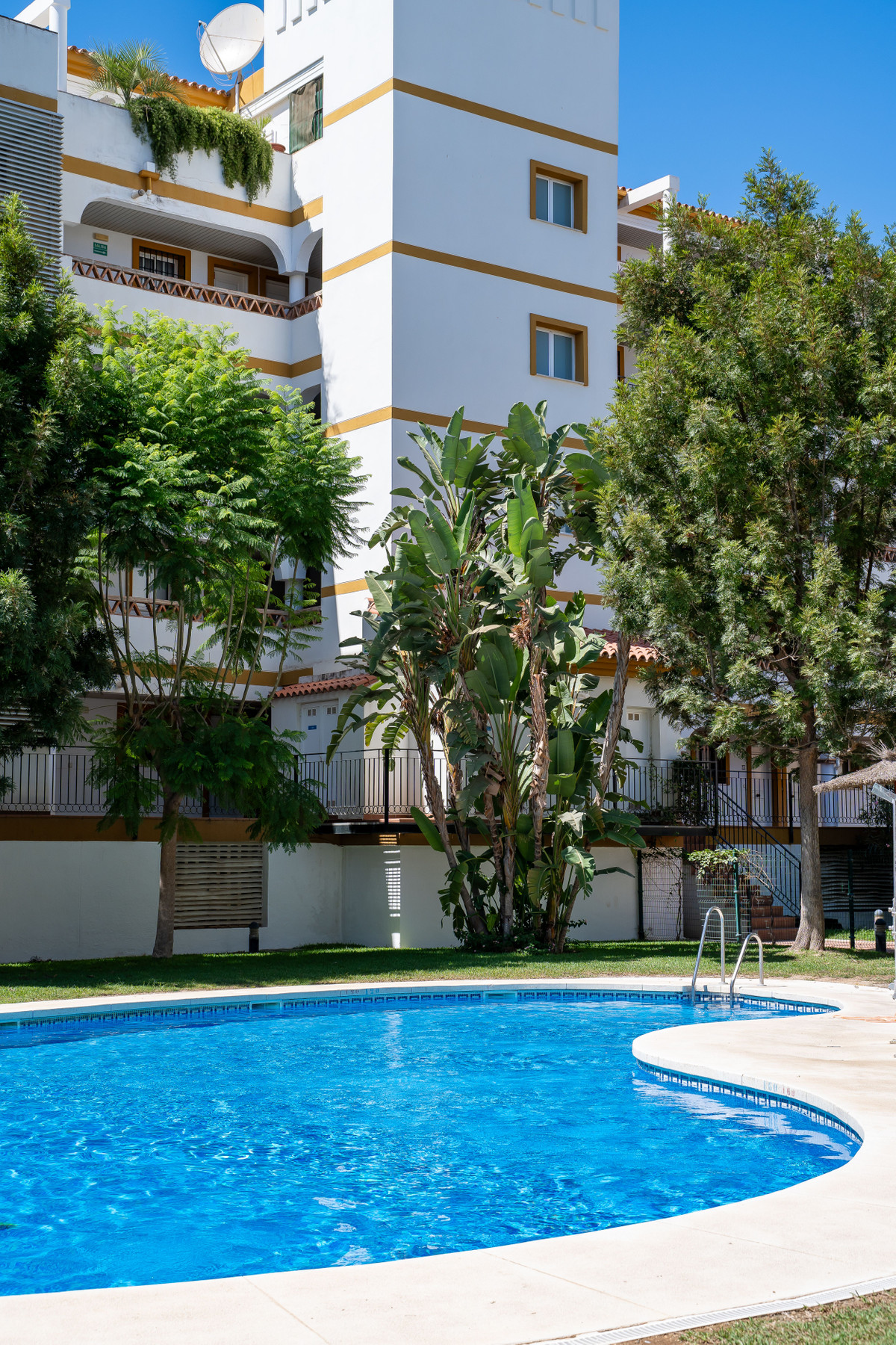 4a1c14ffd5efe5973d5a7c92e90fc86f - 35