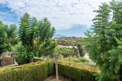 4c4b58b0137a5392d2a9ee25e99b8b58 - 17