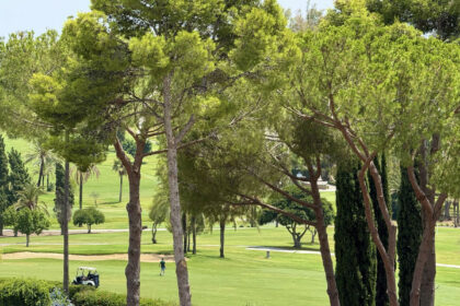 4f405ca8bfeb1bad2632eb5f255e9d0d - 21