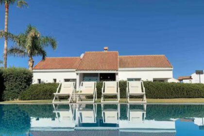 521efd8d4fa5c677322140477d484147 - 1