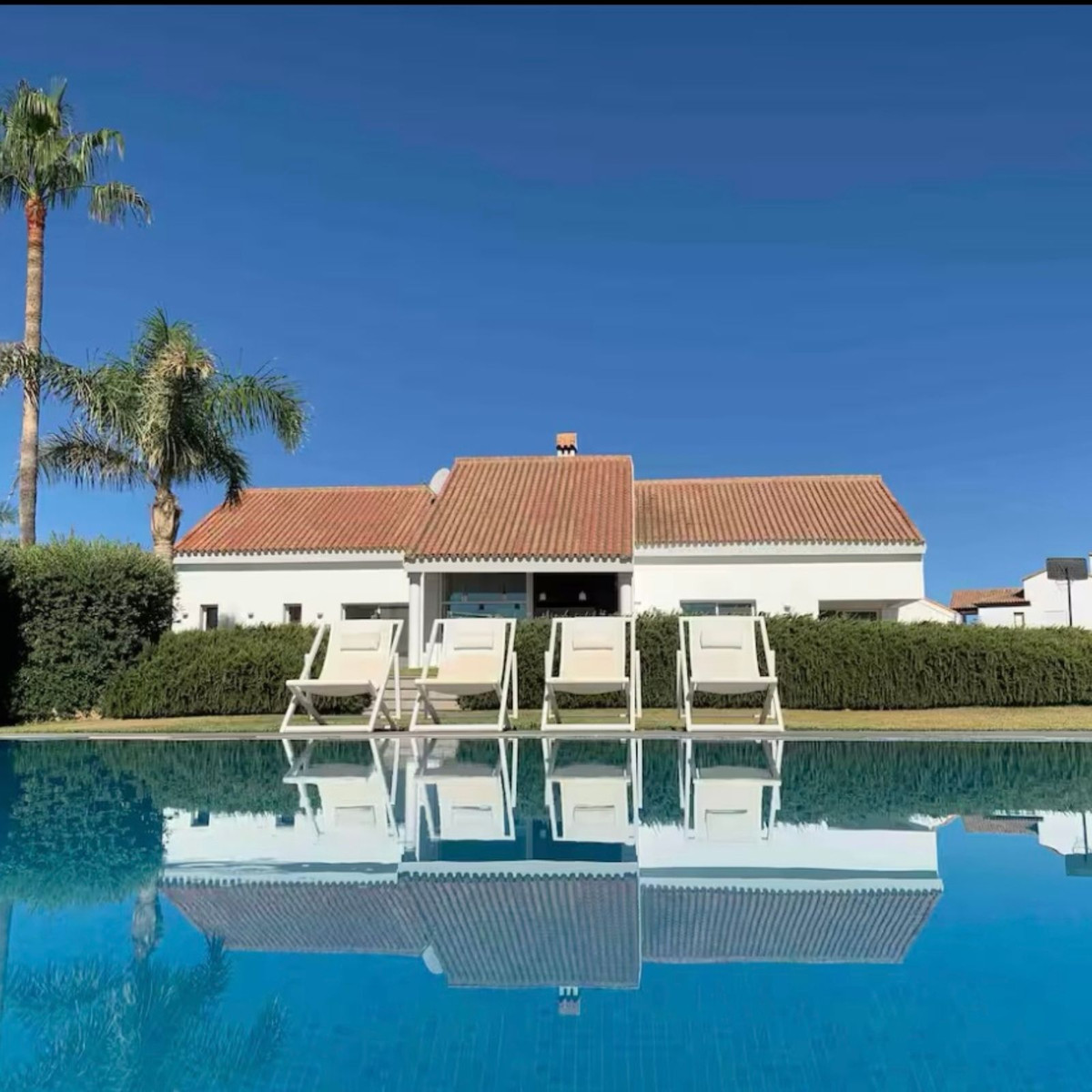 521efd8d4fa5c677322140477d484147 - 1