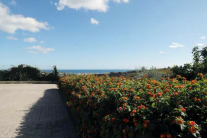 521efd8d4fa5c677322140477d484147 - 54