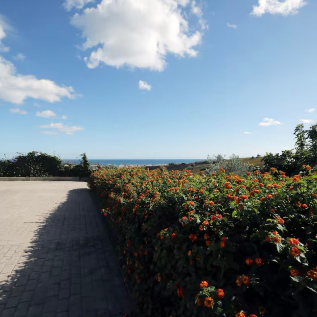 521efd8d4fa5c677322140477d484147 - 54