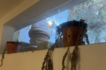 5338cf460ae49b32007d13adde4fce2a - 10