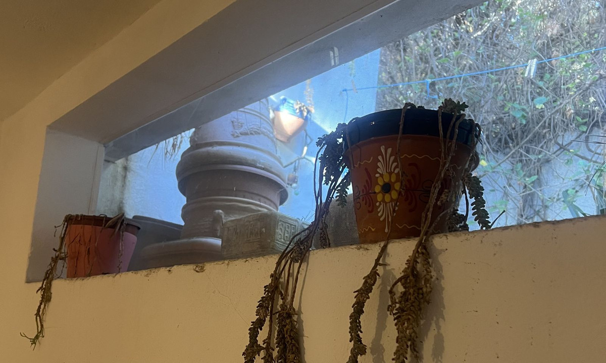 5338cf460ae49b32007d13adde4fce2a - 10